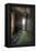 Abandoned Building Interior-Nathan Wright-Framed Premier Image Canvas