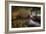 Abandoned Building Interior-Nathan Wright-Framed Photographic Print