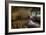 Abandoned Building Interior-Nathan Wright-Framed Photographic Print