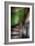 Abandoned Building Interior-Nathan Wright-Framed Photographic Print