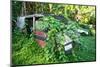 Abandoned Car Covered with Foliage in a Forest, Moorea, Tahiti, French Polynesia-null-Mounted Photographic Print