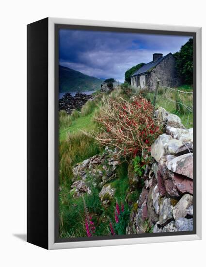 Abandoned Cottage on the Famine Relief Road in Killary Harbour, Connemara, Connaught, Ireland-Gareth McCormack-Framed Premier Image Canvas