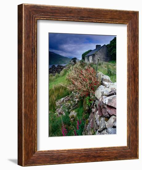 Abandoned Cottage on the Famine Relief Road in Killary Harbour, Connemara, Connaught, Ireland-Gareth McCormack-Framed Photographic Print