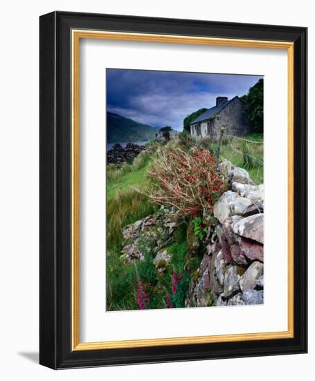 Abandoned Cottage on the Famine Relief Road in Killary Harbour, Connemara, Connaught, Ireland-Gareth McCormack-Framed Photographic Print