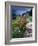 Abandoned Cottage on the Famine Relief Road in Killary Harbour, Connemara, Connaught, Ireland-Gareth McCormack-Framed Photographic Print