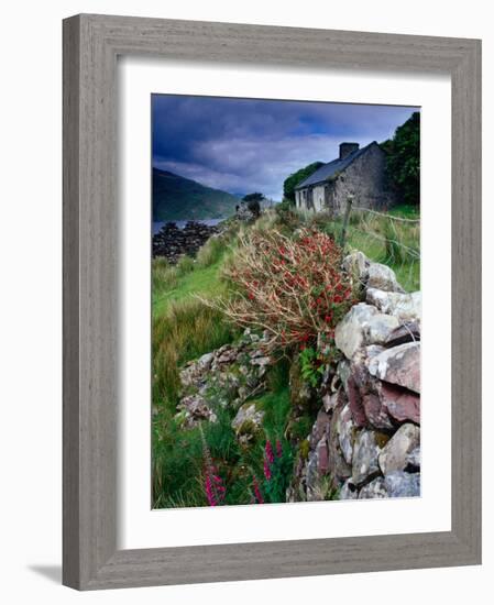 Abandoned Cottage on the Famine Relief Road in Killary Harbour, Connemara, Connaught, Ireland-Gareth McCormack-Framed Photographic Print