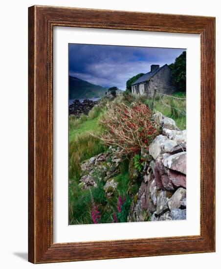 Abandoned Cottage on the Famine Relief Road in Killary Harbour, Connemara, Connaught, Ireland-Gareth McCormack-Framed Photographic Print