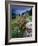 Abandoned Cottage on the Famine Relief Road in Killary Harbour, Connemara, Connaught, Ireland-Gareth McCormack-Framed Photographic Print