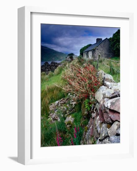 Abandoned Cottage on the Famine Relief Road in Killary Harbour, Connemara, Connaught, Ireland-Gareth McCormack-Framed Photographic Print