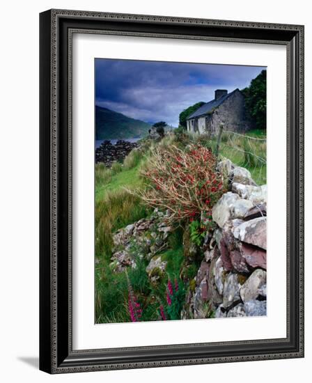 Abandoned Cottage on the Famine Relief Road in Killary Harbour, Connemara, Connaught, Ireland-Gareth McCormack-Framed Photographic Print