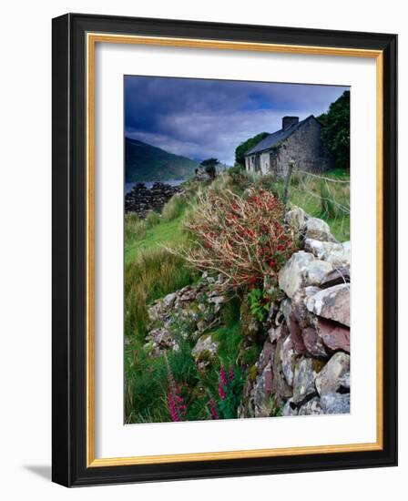 Abandoned Cottage on the Famine Relief Road in Killary Harbour, Connemara, Connaught, Ireland-Gareth McCormack-Framed Photographic Print