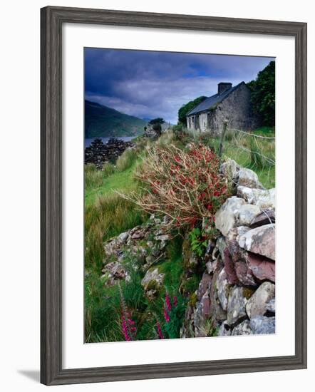 Abandoned Cottage on the Famine Relief Road in Killary Harbour, Connemara, Connaught, Ireland-Gareth McCormack-Framed Photographic Print