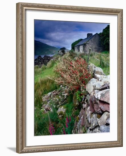 Abandoned Cottage on the Famine Relief Road in Killary Harbour, Connemara, Connaught, Ireland-Gareth McCormack-Framed Photographic Print