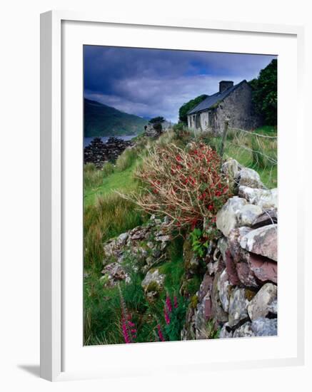 Abandoned Cottage on the Famine Relief Road in Killary Harbour, Connemara, Connaught, Ireland-Gareth McCormack-Framed Photographic Print