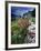 Abandoned Cottage on the Famine Relief Road in Killary Harbour, Connemara, Connaught, Ireland-Gareth McCormack-Framed Photographic Print