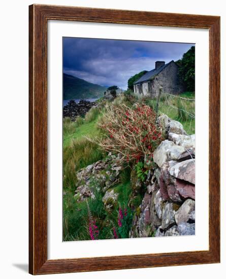 Abandoned Cottage on the Famine Relief Road in Killary Harbour, Connemara, Connaught, Ireland-Gareth McCormack-Framed Photographic Print