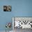 Abandoned Elderly Women Raise Hands During a Prayer Meeting-M^ Lakshman-Photographic Print displayed on a wall