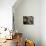 Abandoned Elderly Women Raise Hands During a Prayer Meeting-M^ Lakshman-Photographic Print displayed on a wall