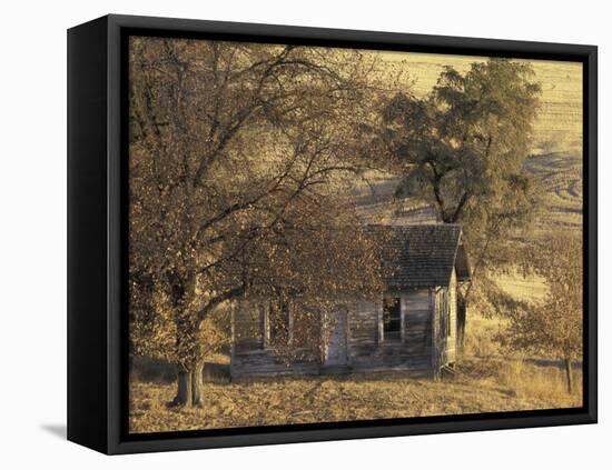 Abandoned Farm House in Wheat Field, Uniontown, Washington, USA-William Sutton-Framed Premier Image Canvas