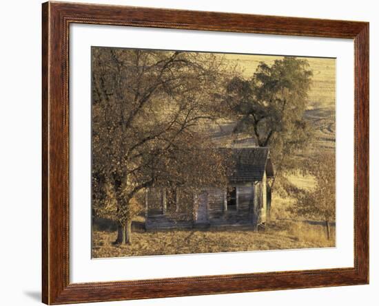 Abandoned Farm House in Wheat Field, Uniontown, Washington, USA-William Sutton-Framed Photographic Print