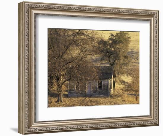 Abandoned Farm House in Wheat Field, Uniontown, Washington, USA-William Sutton-Framed Photographic Print