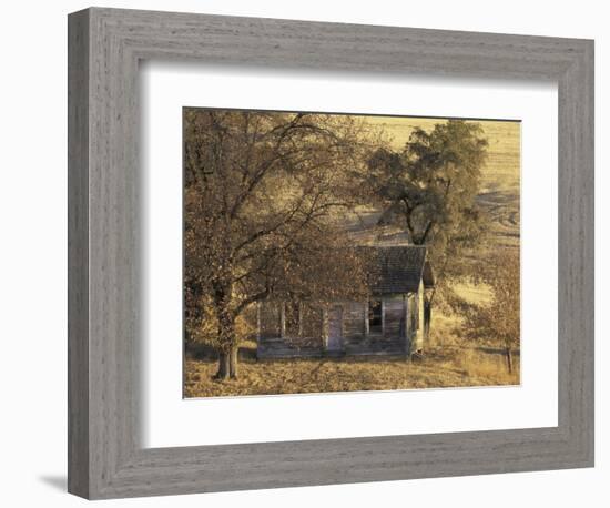 Abandoned Farm House in Wheat Field, Uniontown, Washington, USA-William Sutton-Framed Photographic Print