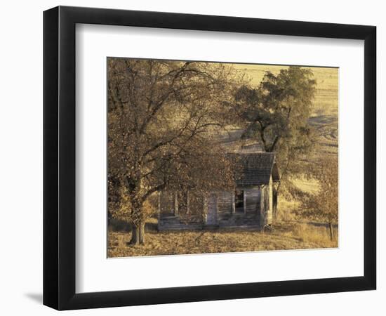 Abandoned Farm House in Wheat Field, Uniontown, Washington, USA-William Sutton-Framed Photographic Print