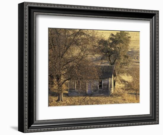 Abandoned Farm House in Wheat Field, Uniontown, Washington, USA-William Sutton-Framed Photographic Print
