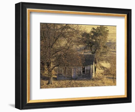 Abandoned Farm House in Wheat Field, Uniontown, Washington, USA-William Sutton-Framed Photographic Print