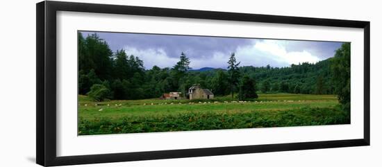 Abandoned Farmhouse with Sheep Glen Strathfarrar Highlands Scotland-null-Framed Photographic Print