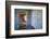 Abandoned House Full of Sand. Kolmanskop Ghost Town, Namib Desert Namibia, October 2013-Enrique Lopez-Tapia-Framed Photographic Print