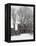 Abandoned House of Nevada City, Montana, USA-Charles Sleicher-Framed Premier Image Canvas