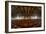 Abandoned Interior-Nathan Wright-Framed Photographic Print