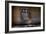 Abandoned Interior-Nathan Wright-Framed Photographic Print