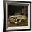 Abandoned Old Car in USA-null-Framed Photographic Print