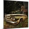 Abandoned Old Car in USA-null-Mounted Photographic Print