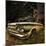 Abandoned Old Car in USA-null-Mounted Photographic Print