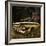 Abandoned Old Car in USA-null-Framed Photographic Print