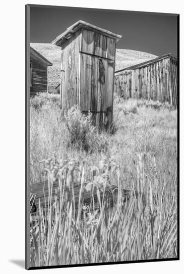 Abandoned old ghost town of Bodie, California-Jerry Ginsberg-Mounted Photographic Print