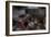 Abandoned Room Interior-Nathan Wright-Framed Photographic Print