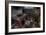 Abandoned Room Interior-Nathan Wright-Framed Photographic Print