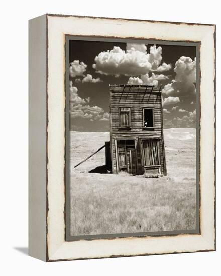 Abandoned Shack in Field-Aaron Horowitz-Framed Premier Image Canvas