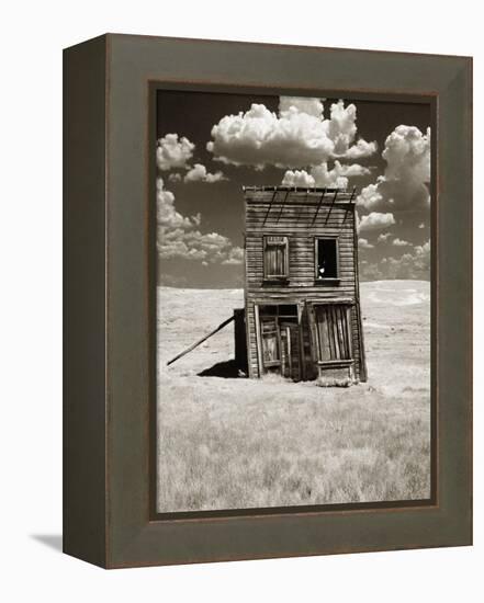 Abandoned Shack in Field-Aaron Horowitz-Framed Premier Image Canvas