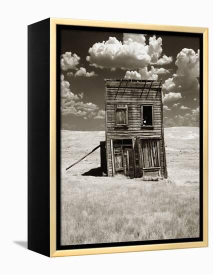 Abandoned Shack in Field-Aaron Horowitz-Framed Premier Image Canvas