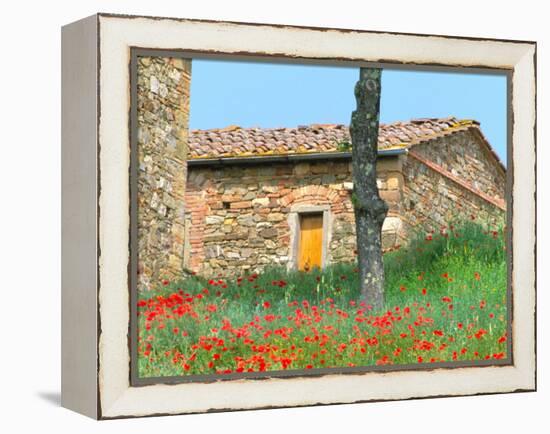 Abandoned Villa with Red Poppies, Tuscany, Italy-Julie Eggers-Framed Premier Image Canvas