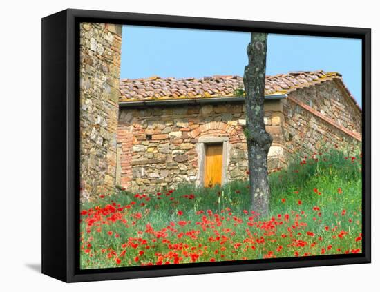 Abandoned Villa with Red Poppies, Tuscany, Italy-Julie Eggers-Framed Premier Image Canvas