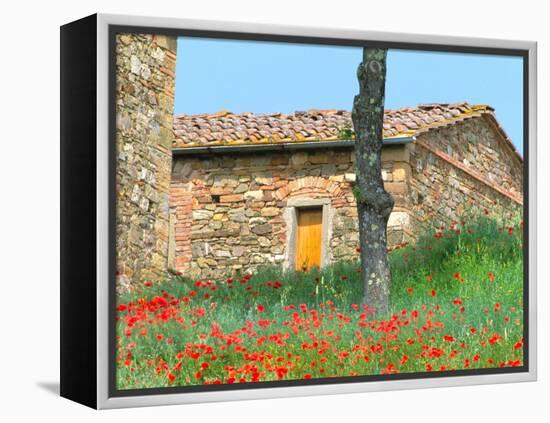 Abandoned Villa with Red Poppies, Tuscany, Italy-Julie Eggers-Framed Premier Image Canvas