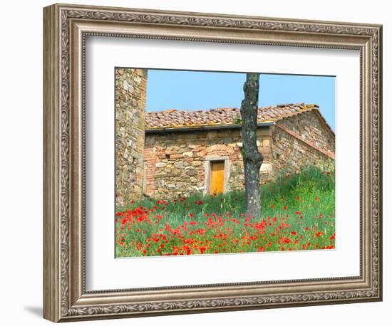 Abandoned Villa with Red Poppies, Tuscany, Italy-Julie Eggers-Framed Photographic Print