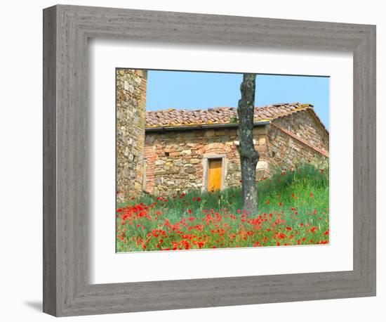 Abandoned Villa with Red Poppies, Tuscany, Italy-Julie Eggers-Framed Photographic Print