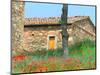 Abandoned Villa with Red Poppies, Tuscany, Italy-Julie Eggers-Mounted Photographic Print